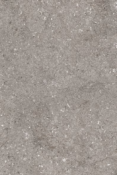 Limestone Fossil G6920Y40 baldosa porcelanica exterior 3