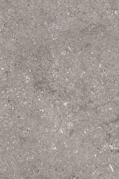 Limestone Fossil G6920Y40 baldosa porcelanica exterior 4