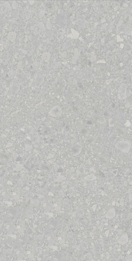 Greige G12620Y09 baldosa porcelanica exterior 2