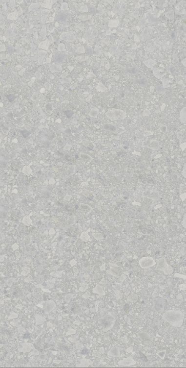 Greige G12620Y09 baldosa porcelanica exterior 4
