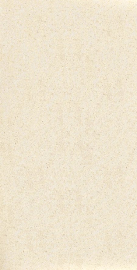 Marble Ariston G1261801W baldosa porcelanica exterior 2